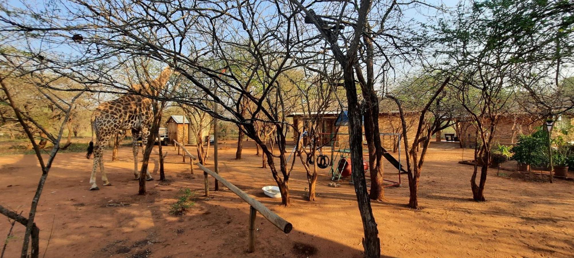 462 Bosbok Chalets Marloth Park Bagian luar foto