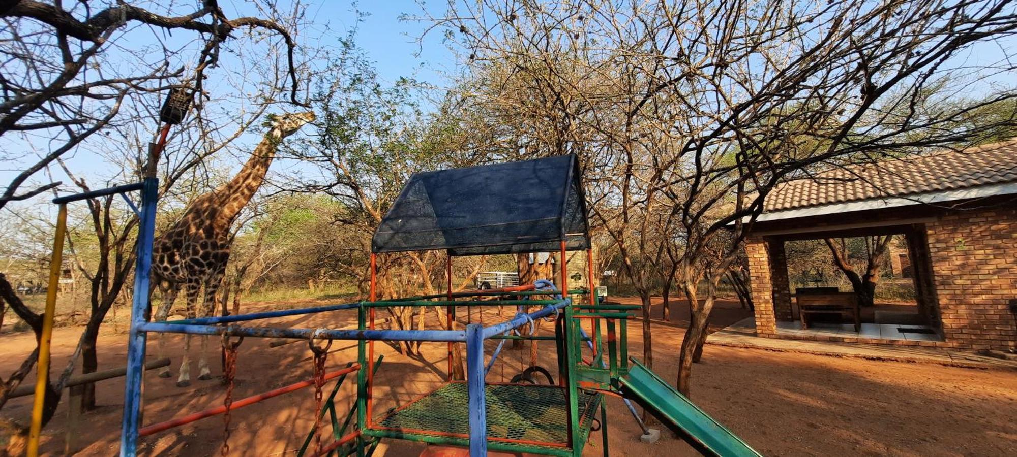 462 Bosbok Chalets Marloth Park Ruang foto